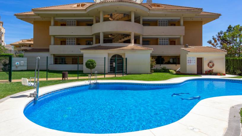 Don Juan apartment with pool in Carvajal Ref 98