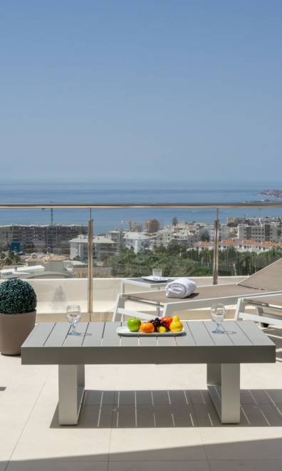 Luxurious flat in El Higueron Ref 121
