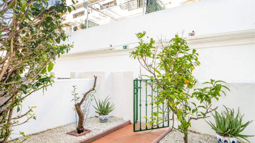 Miramar sunny patio in Fuengirola Ref 79
