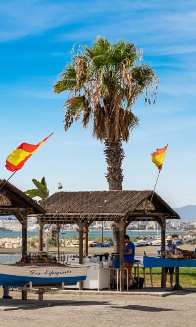 Comfy apartment 100m from Pedregalejo Beach  MAL02